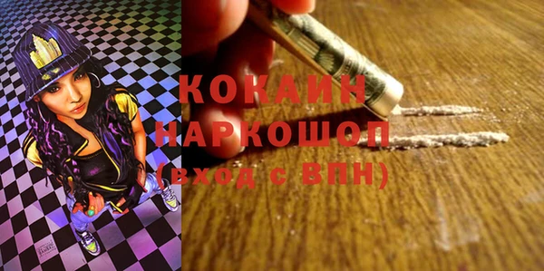 хмурый Аркадак