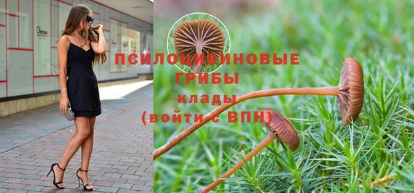 дживик Баксан