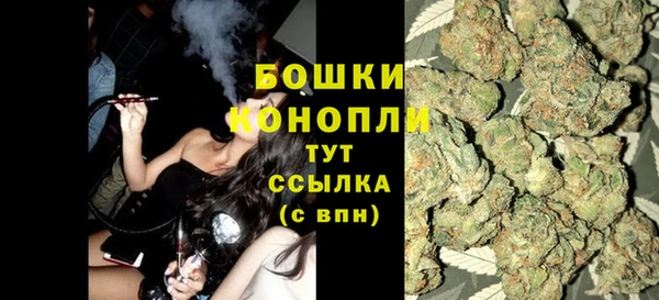 дживик Баксан