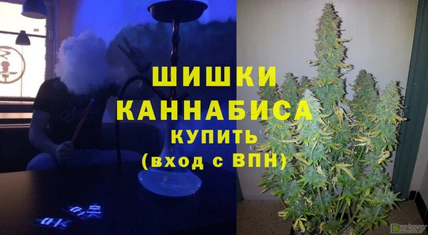 дживик Баксан