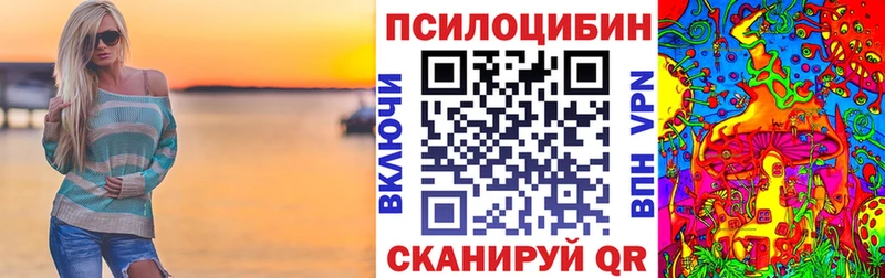 где купить Кяхта Галлюциногенные грибы прущие грибы